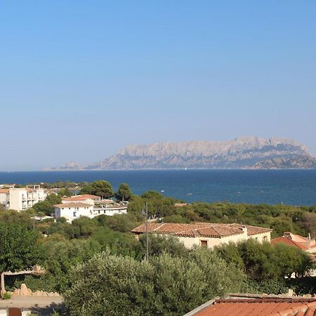 La Conchiglia Villa Olbia Exterior foto